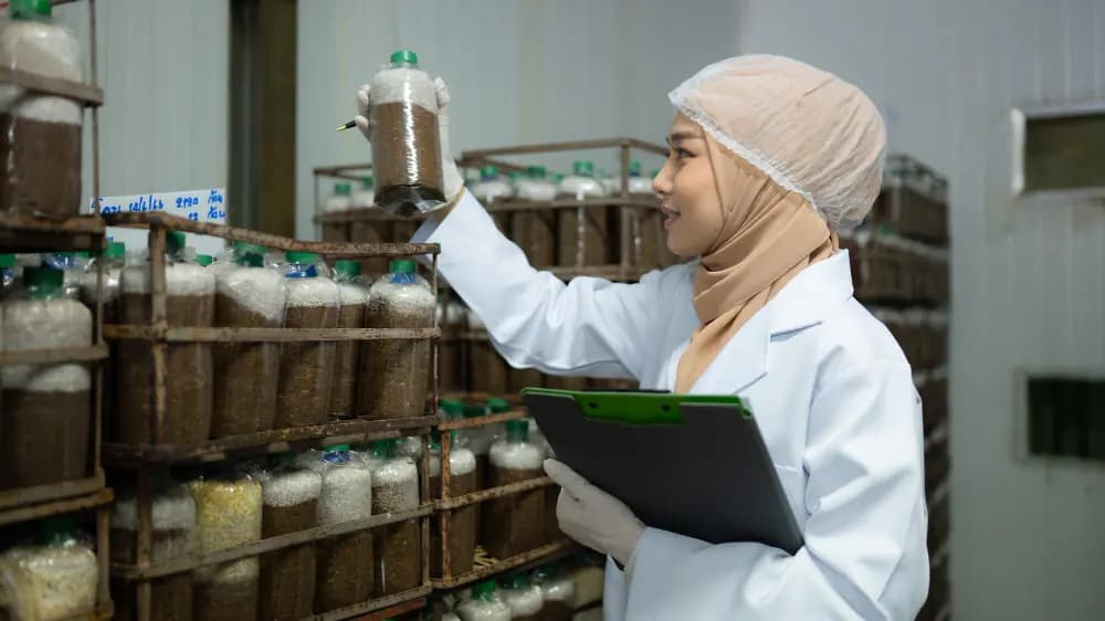 Apa itu Produsen? Pahami Arti, Peran, dan Bidangnya