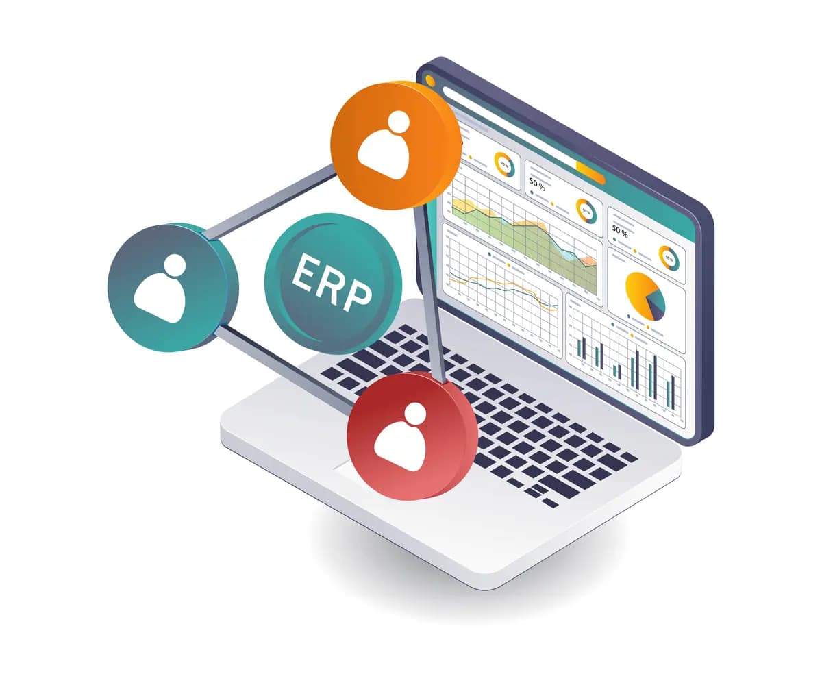 Business Data Analysis in ERP System Networks